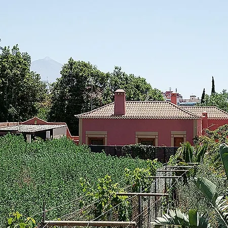 Nice House In Large Avocado Garden, Tenerife North Tacoronte