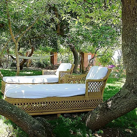 Nice House In Large Avocado Garden, Tenerife North * Tacoronte