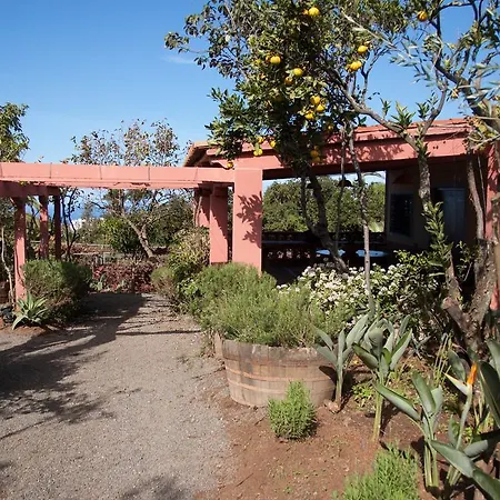 Nice House In Large Avocado Garden, Tenerife North
