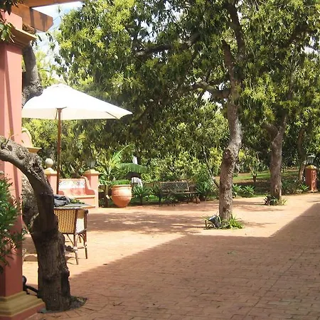 Nice House In Large Avocado Garden, Tenerife North Tacoronte
