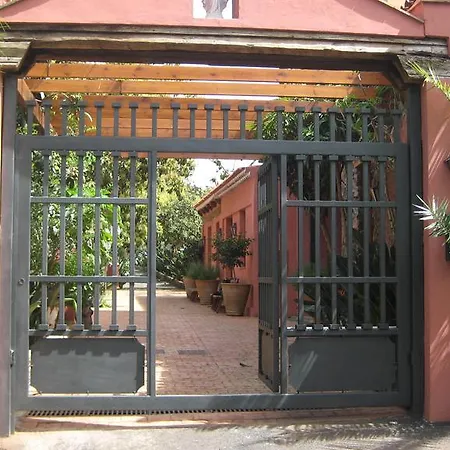 Nice House In Large Avocado Garden, Tenerife North