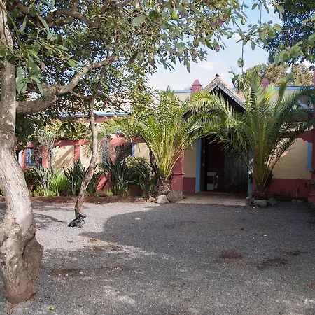 Nice House In Large Avocado Garden, Tenerife North