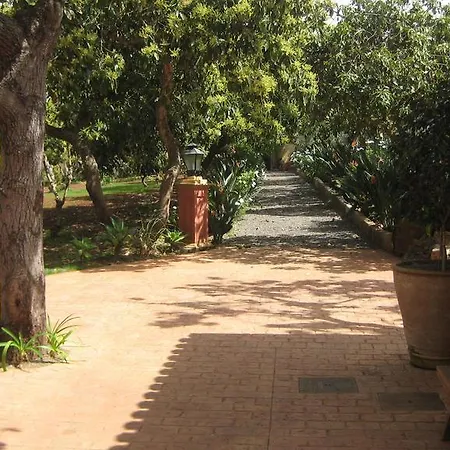 Nice House In Large Avocado Garden, Tenerife North