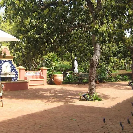 Country house Nice House In Large Avocado Garden, Tenerife North