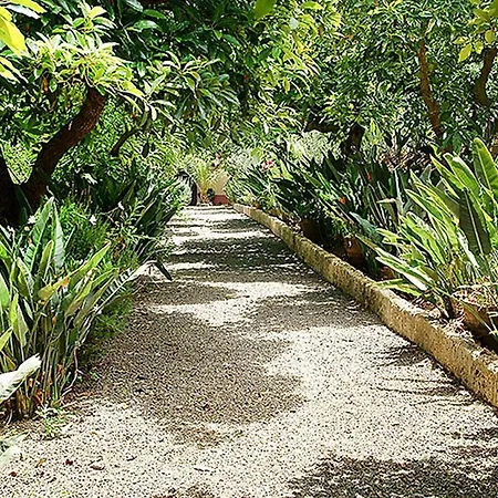 Nice House In Large Avocado Garden, Tenerife North Tacoronte